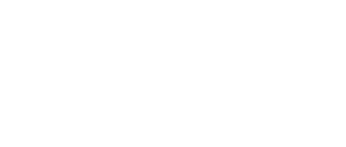 Dollar Flight Club logo